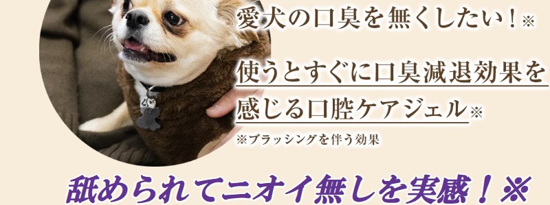 �ؑ]�w�O�S�N �y�b�g�p��̔��J�n�y�����p���o�P�A�W�F���z
���T�C�g